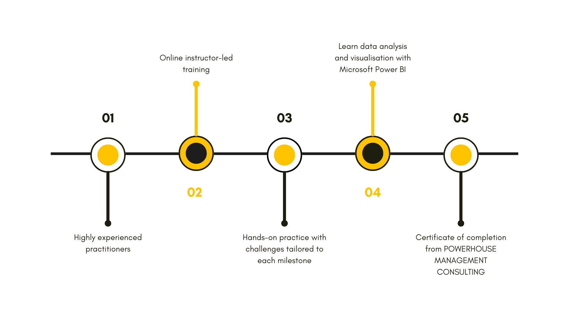 Microsoft Power BI Program